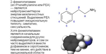 Фенилэтиламины