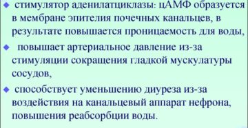 ВАЗОПРЕССИН