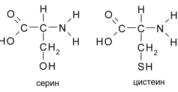 Серин