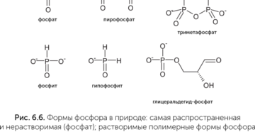ПИРОФОСФАТЫ ОРГАНИЧЕСКИЕ