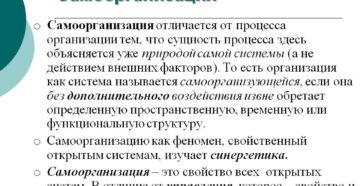 Самоорганизация