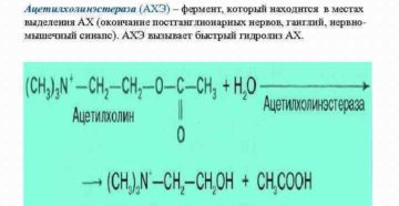 Ацетилхолинэстераза