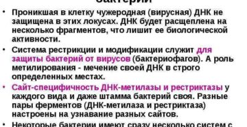 РЕСТРИКЦИЯ И МОДИФИКАЦИЯ ДНК