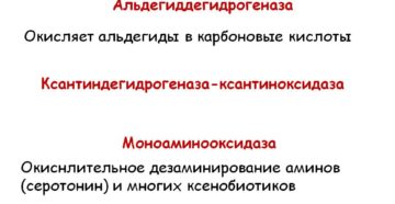 АЛЬДЕГИДДЕГИДРОГЕНАЗЫ