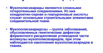 МУКОПОЛИСАХАРИДЫ