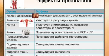 ПРОЛАКТИН